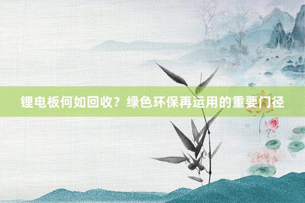 锂电板何如回收？绿色环保再运用的重要门径